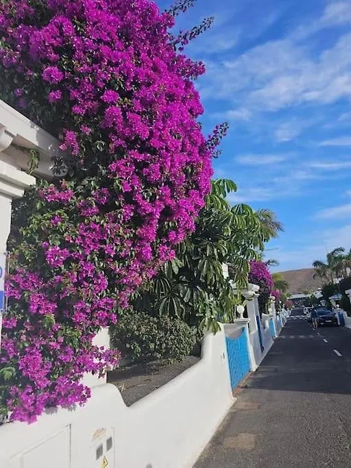 Apartamento Pavla Διαμέρισμα Κόστα Κάλμα