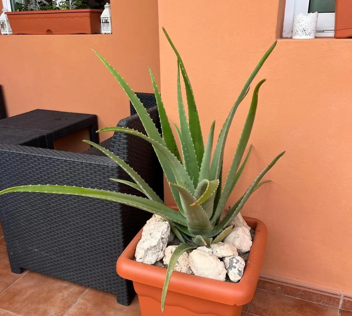Apartamento Pavla Διαμέρισμα Κόστα Κάλμα